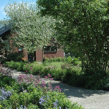 Gastenverblijf Op Het Graveland Zevenhuizen  Eksteriør bilde