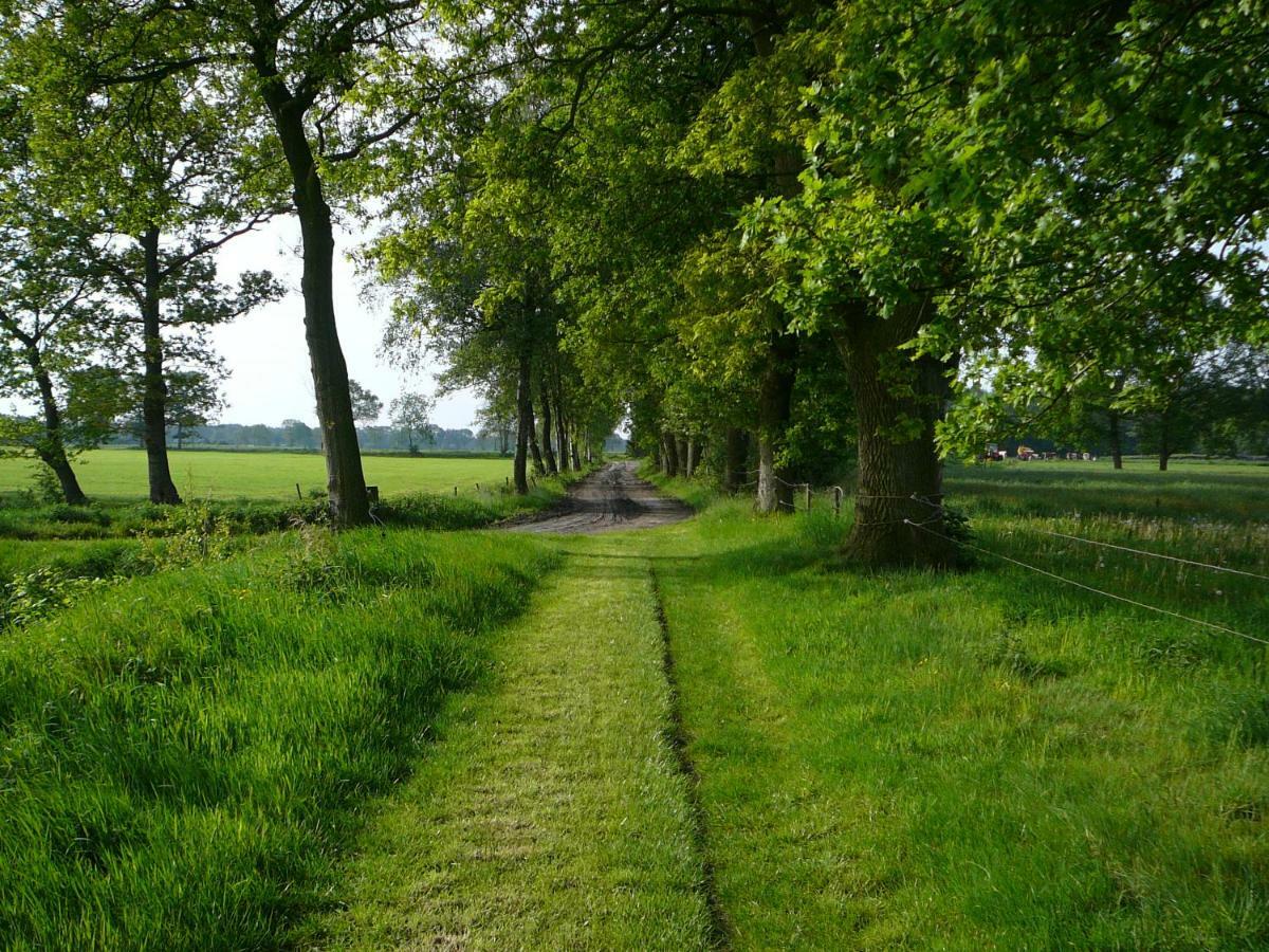 Gastenverblijf Op Het Graveland Zevenhuizen  Eksteriør bilde